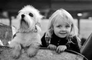 Olympia: Crufts Dog Snow. February 1975 75-00744-004