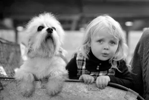 Olympia: Crufts Dog Snow. February 1975 75-00744-005