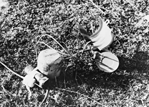 Bomb Prints: An open Butterfly'bomb, showing the electrical connections in