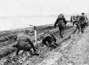 Operation Blackcock (14th - 26th January 1945) was an operation to clear German troops