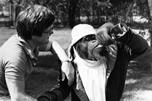 Orang-Utan CJ, the deeply philosophical star of Clint Eastwood films Any Which Way But