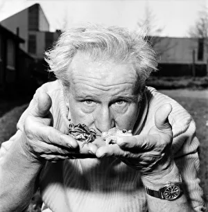 Orange frogs in the palms of a mans hand April 1975 75-2149-003