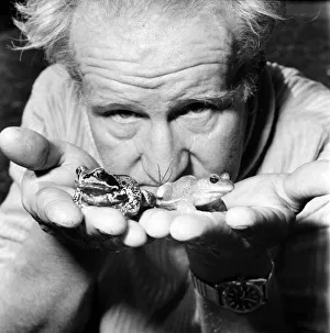 Orange frogs in the palms of a mans hand April 1975 75-2149-008