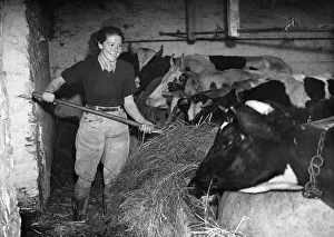 Agriculture Prints: The ordinary man and woman is rewarded in the second part of the New Years honours list