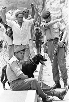 Middle East Prints: Oscar the four year old labrador adopted by Zulu Company of the Royal Marines seen here