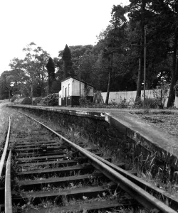 Tracks Prints: Overgrown tracks, but the shrubs and flowers on the platform at Chollerton Station are in