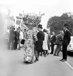 Oversized hats on display on the first day of Royal Ascot June 1970 70-05824-003
