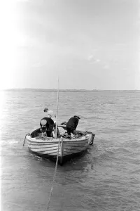 Oyster fishermen of Colchester at work in the River Blackwater and in the North Sea