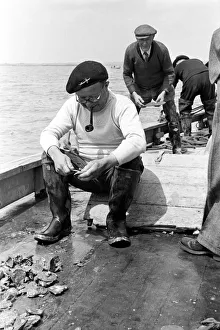 00014 Prints: Oyster fishermen of Colchester at work in the River Blackwater and in the North Sea