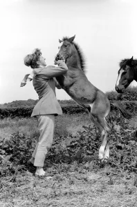 Pam Barrows seen here with foal called Miracle. June 1961 C65