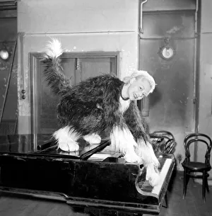 Pantomime cat: Actress Jeanie Craig as Tommy the cat in Dick Whittington. December 1956