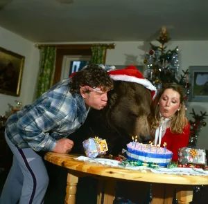 Birthdays Prints: Party Animal! Hercules the bear celebrates his 10th birthday Blowing out