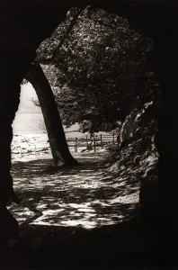 Forest Prints: The path emerges through a tunnel as it passes beside Buttermere in the Lake District