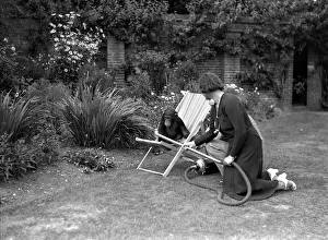 Deckchair Prints: Pattie the chimpanzee, appreciates a little assistance on the never ending problem of