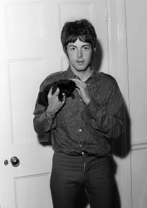 Paul McCartney of The Beatles holding a kitten at his home on his 25th birthday 18 June