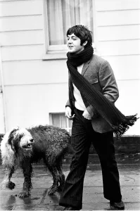 Sheepdog Prints: Paul McCartney of The Beatles at his St Johns Wood, London, home