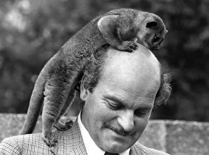 Bald Prints: Pedro the Kinkajou is on top of the world - enjoying a little global exploration across