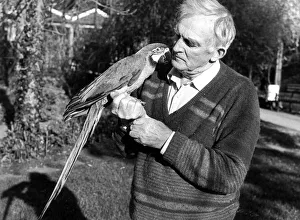 Bird Prints: Penscynor Wildlife Park owner Idris Hale holds a blue and gold macaw