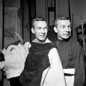 People are amazed when the head and rear end of the cow come off in the Palace Pantomime