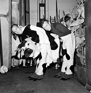 People are amazed when the head and rear end of the cow come off in the Palace Pantomime