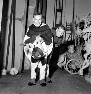 People are amazed when the head and rear end of the cow come off in the Palace Pantomime