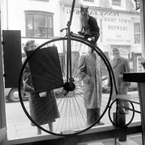 00174 Prints: People stand and stare in the window of the Penny Farthing Coffee Bar at Brighton