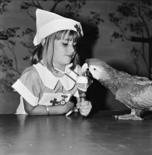 Two of the performing parrots at the Windsor Safari Park were feeling a little poorly
