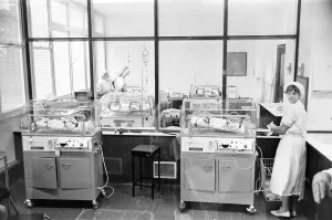 Nurses Prints: Photo-call for Thorns Sextuplets in Incubation Ward at Birmingham Maternity Hospital