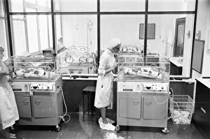 00503 Prints: Photo-call for Thorns Sextuplets in Incubation Ward at Birmingham Maternity Hospital