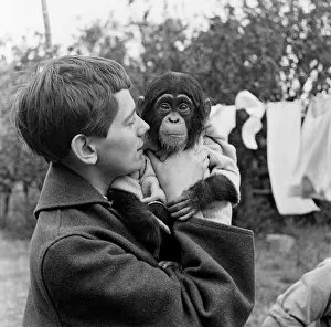 Photo shows Gerald Durrell and Jacqueline Durrell with their pet Chimpanzee Cholmondley