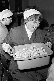 Vegetables Prints: Pickled Onion Factory workers hard at work with tears in their eyes. July 5th 1978