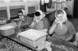 Pickled Onion Factory workers hard at work with tears in their eyes. July 5th 1978