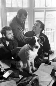 Pickles-the black and white mongrel dog that sniffed-out the location of the World Cup is