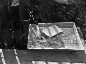 Pictures Prints: PICTURE 12 of the 14 SEQUENCE. The Box Camera - a series of pictures demonstrating how