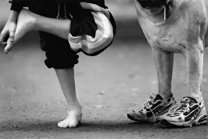 Humourous Prints: Picture shows a dog wearing trainers presumably belonging to the young boy on the left