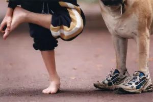 Picture shows a dog wearing trainers presumably belonging to the young boy on the left