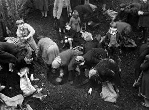 00026 Prints: Picture shows women from the Southwark district of London gathering coal from a Bomb site