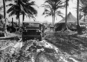 Picture taken at a New Zealand Air Force base in the Solomon Islands