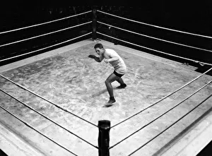 00347 Prints: Few pictures can come as close to this in epitomising Georges Carpentier as a boxer