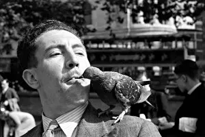 00013 Collection: Pigeons in Trafalgar Square. January 1939 OL307J-002