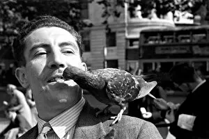 00013 Collection: Pigeons in Trafalgar Square. January 1939 OL307J-003