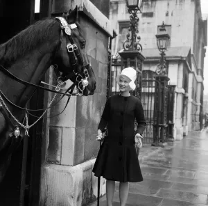 When pink Dorothy Provine arrived in London today she wanted to see the town