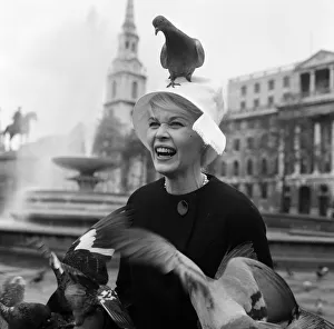 When pink Dorothy Provine arrived in London today she wanted to see the town