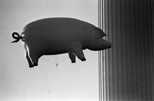 Images Dated 4th December 1976: Pink Floyd Inflatable Flying Pig at Battersea December 1976 Power Station in London