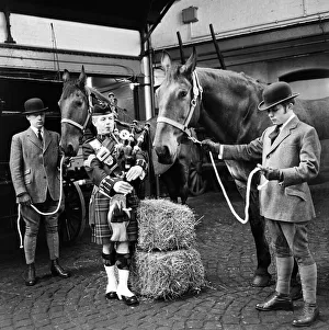 Noise Prints: Piper Mitch Mitchinson plays bagpipes to Newcastle Brewery dray horses to get them used