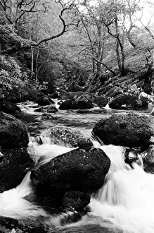 00715 Prints: Plas Dol-y-Moch, Coventrys Outdoor Education Centre