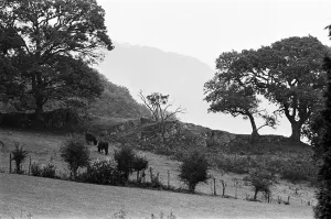 00715 Prints: Plas Dol-y-Moch, Coventrys Outdoor Education Centre