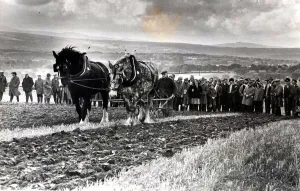 Ploughing Prints: Ploughing - Horse ploughing was a popular feature of the all-Wales ploughing