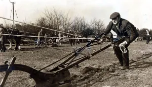 Ploughing - Mr William Davies of Penderyn puts all his concentration into making sure