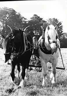 Ploughing a straight furrow at Brailsford 15th October 1988